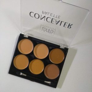 Paleta de Correctores